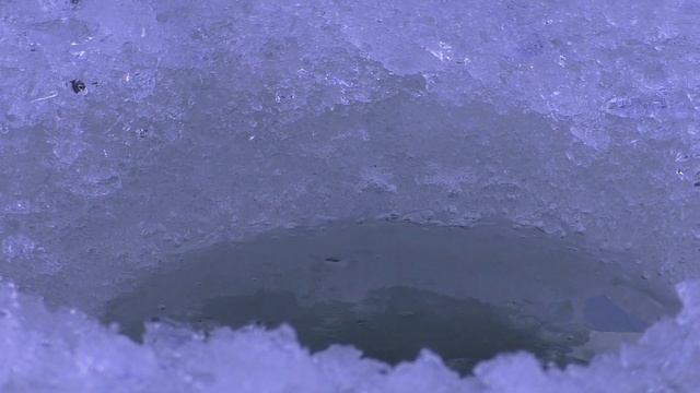 РЫБАЛКА НА КАРАСЯ ЗИМОЙ 2022! ПОКЛЁВКИ ОДНА ЗА ОДНОЙ! Заготовка живца для ловли щуки.