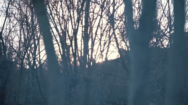 Mastava - Aromatic Soup With Meat And Rice | Mazza