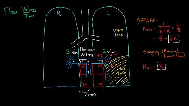 Flow and perfusion | Circulatory system physiology | NCLEX-RN | Khan Academy смотреть онлайн