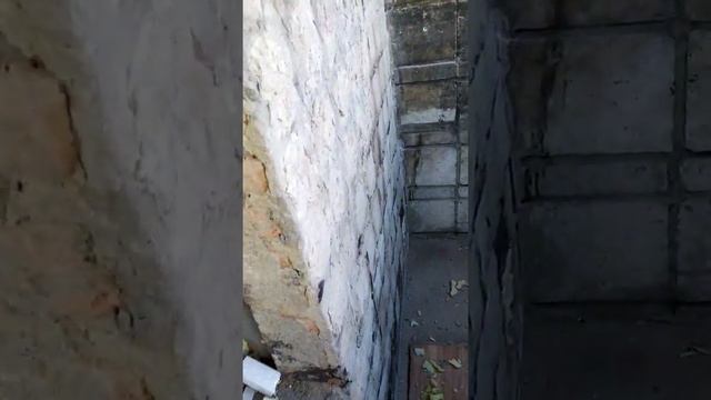 27 июня 2020 г.