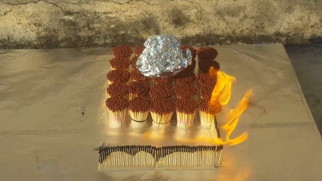 Match stick bundles VS quail experiment смотреть онлайн
