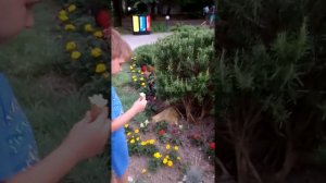 Пансионат Орбита