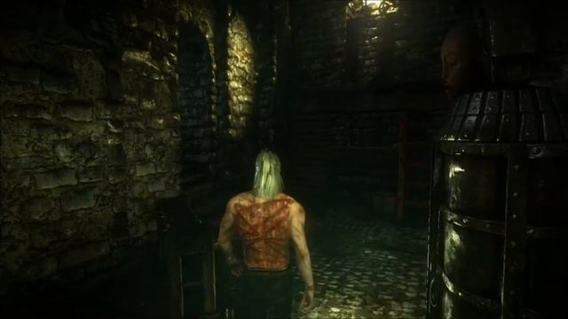 The Witcher 2/Game of Thrones: NSFW trailer .wmv смотреть онлайн