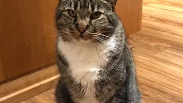 Хантер, есть хочешь? смотреть онлайн