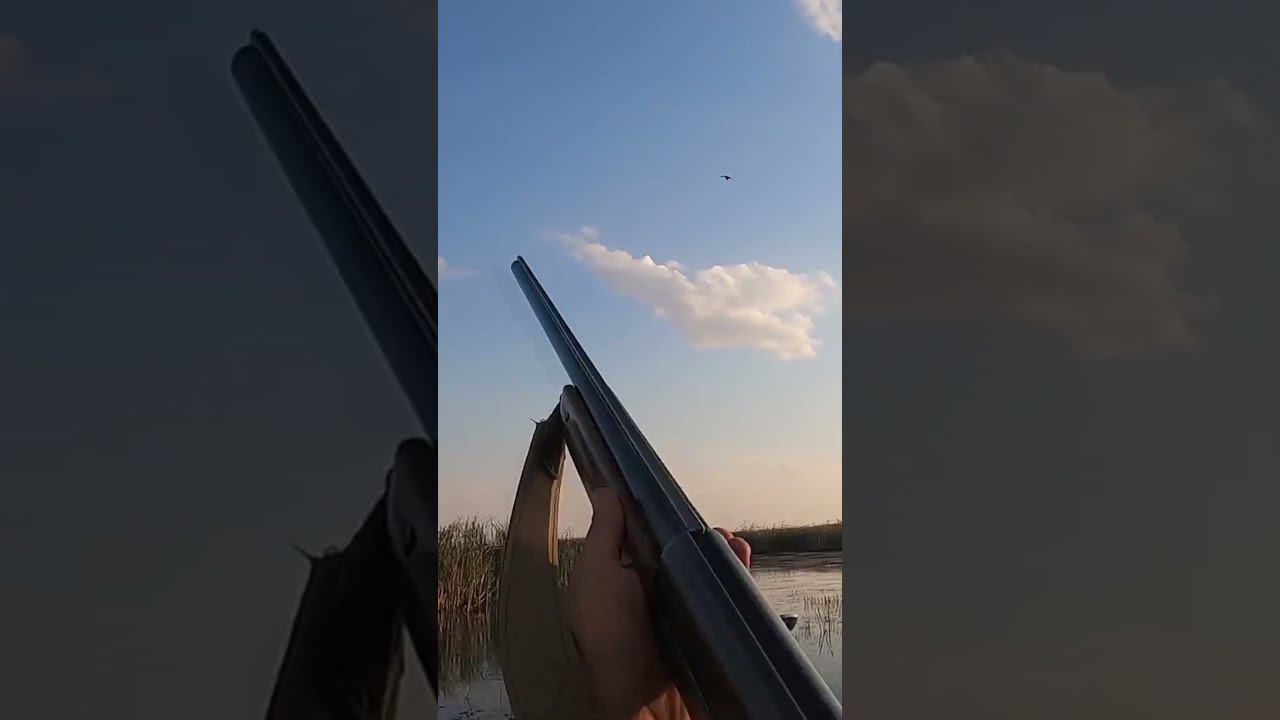 Красивые налеты, точные выстрелы. Охота на утку #охотанауток #охота #охотанагуся смотреть онлайн