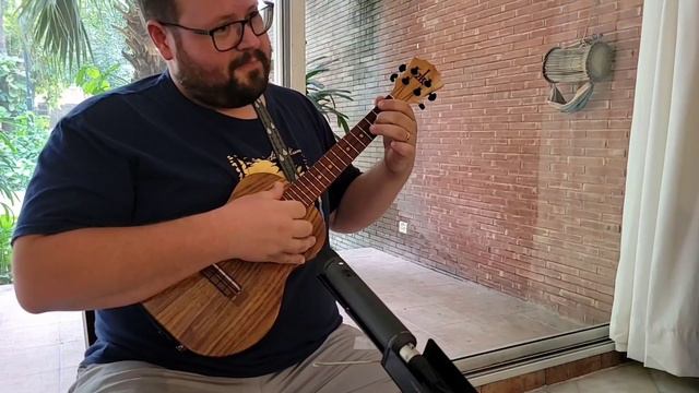 You Are the Sunshine of My Life - ukulele смотреть онлайн