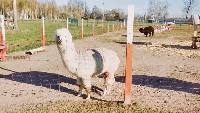 Rīga#Doles Sala#pavasaris#весна в   Латвии#отлично провести время с семьёй