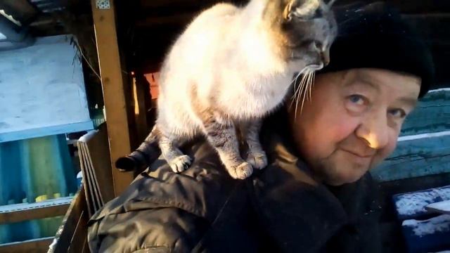 Природные витамины для козы в конце Декабря.Сварила простенький супчик смотреть онлайн