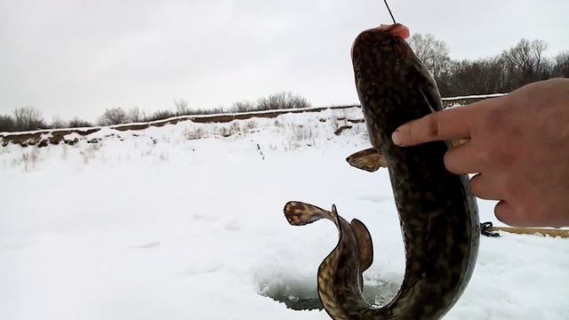 Налим на тычке. смотреть онлайн