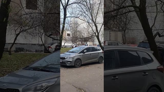 птичья жизнь, 11.11.2023 смотреть онлайн