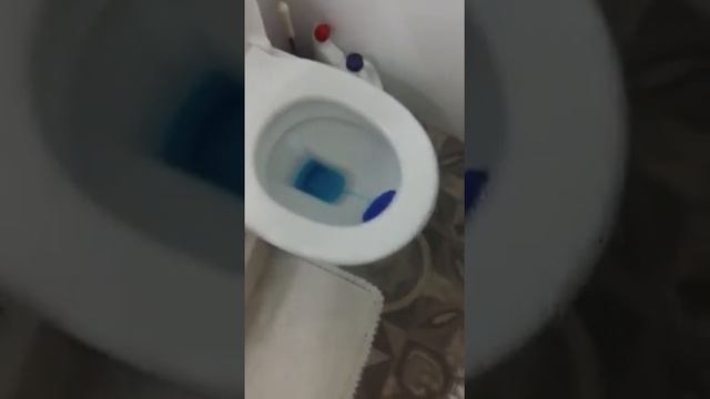 Змея в унитазе смотреть онлайн