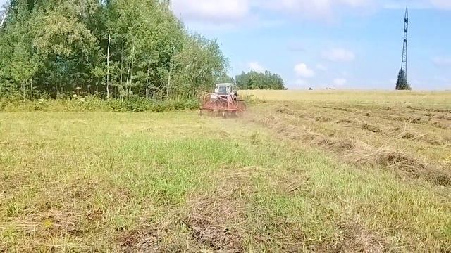 4 августа 2023 г. смотреть онлайн