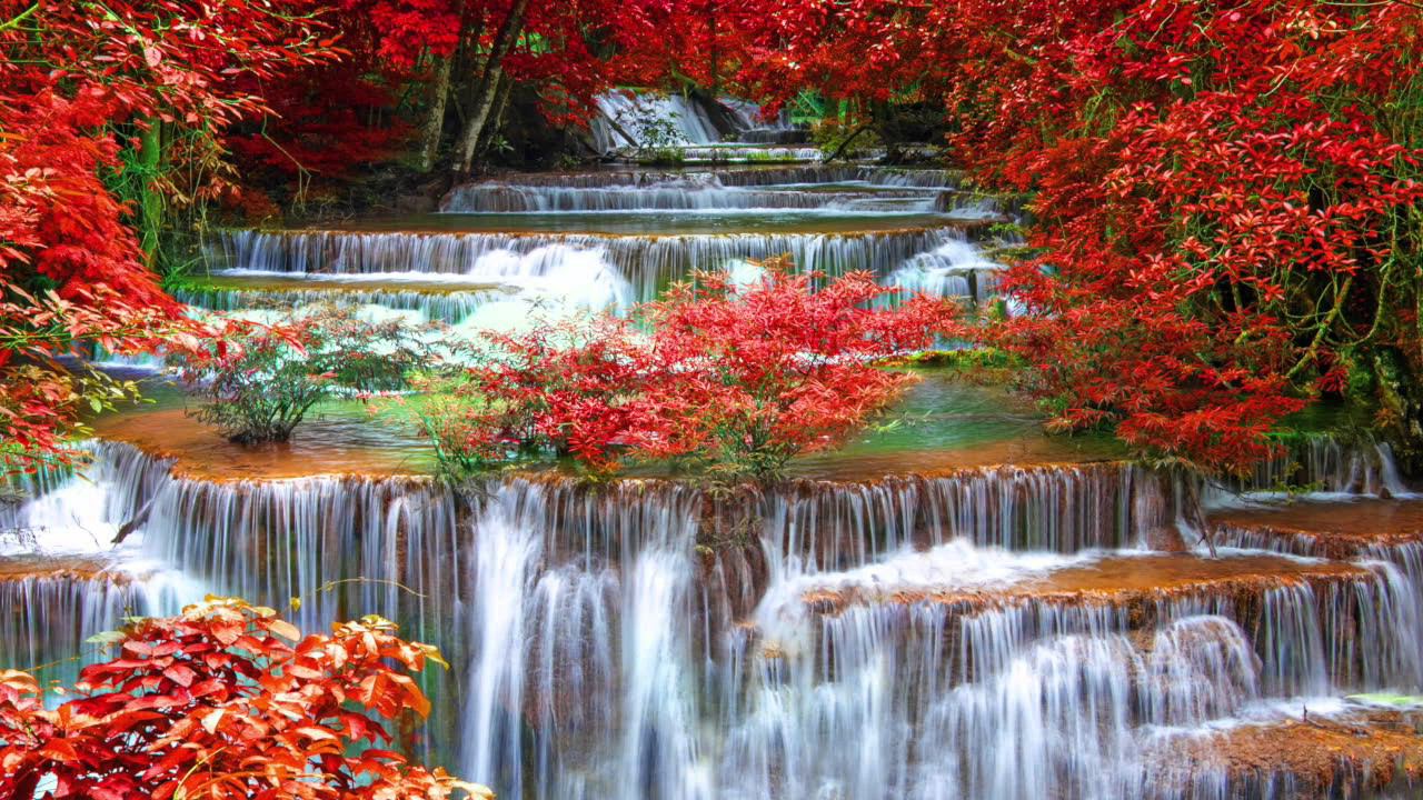 Японская Музыка Для Расслабления, Отдыха И Восстановления Сил Музыка Для Релаксации И Медитации смотреть онлайн