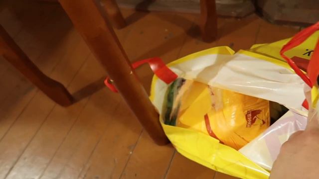 влог: ПОДСТРИГЛИ БИЛЛИ | ЗВЕРОПАПА ВЕРНУЛСЯ