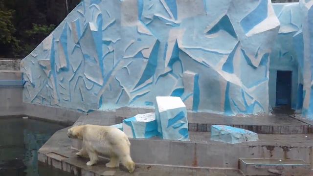 Мишки !!!!!!!(в новосибирском зоопарке) смотреть онлайн