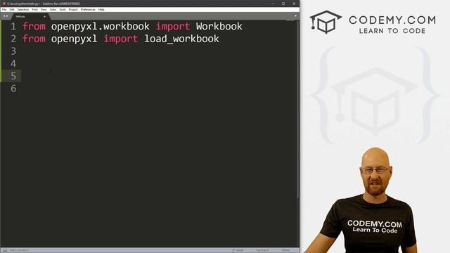 Connect Python To Excel - Python and Excel With OpenPyXL #4 смотреть онлайн