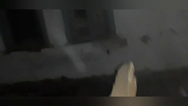 Ночьной призыв Кота Боба смотреть онлайн