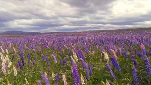 Медитация перед сном. Материализация мысли
