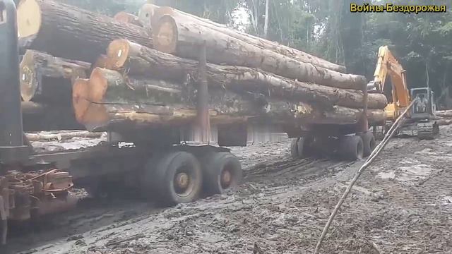 Различные виды тяжелого деревянного оборудования CAT и их функции - Лучшие лесозаготовительные машин смотреть онлайн