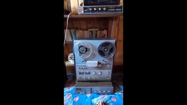 ОПОЗНАЙ-КА: Вася-хулиган смотреть онлайн