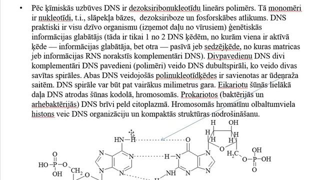 Nukleīnskābes смотреть онлайн