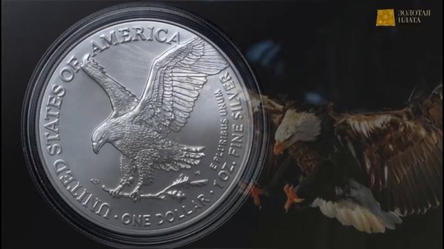 Слёт коллекционеров России в Самаре 22 октября 2023 г. / Обзор и покупки смотреть онлайн