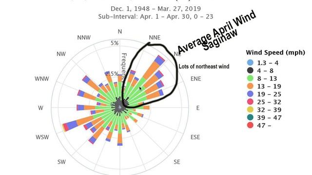 How to read a wind rose chart смотреть онлайн