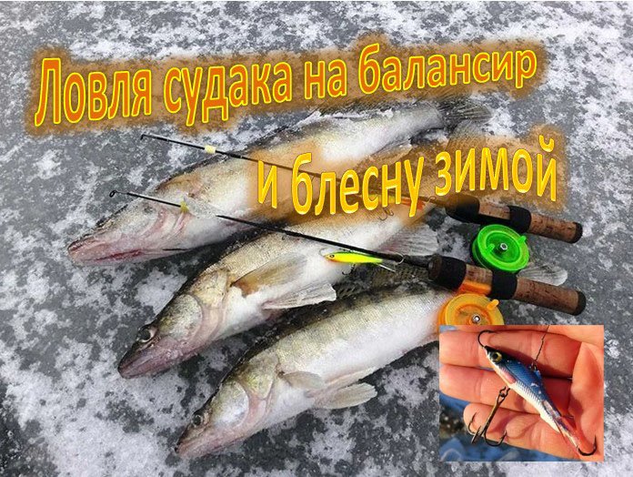Ловля судака на балансир и блесну зимой смотреть онлайн
