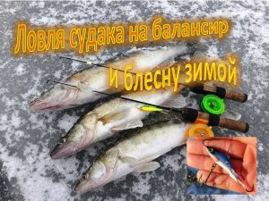 Ловля судака на балансир и блесну зимой