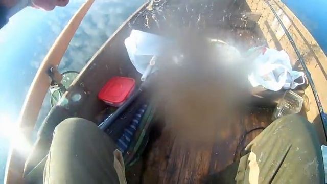 ловля леща летом с лодки на фидер. Как ловить леща с лодки на фидер. смотреть онлайн