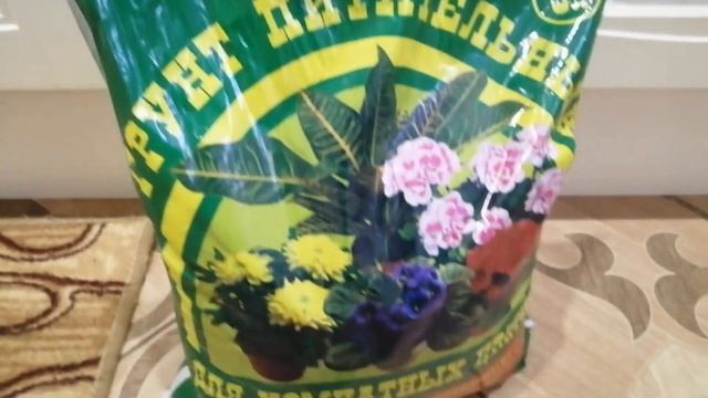 ДАЧНЫЙ СЕЗОН Уникальность, польза этого супер продукта на шести сотках! СекретОТЛИЧНОГО урожая?? ??