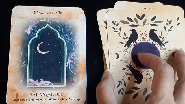 Oracle review Pure Magic Oracle смотреть онлайн