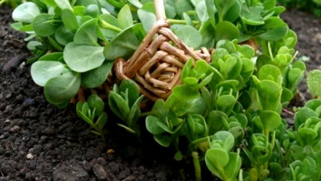 Игровой Мир