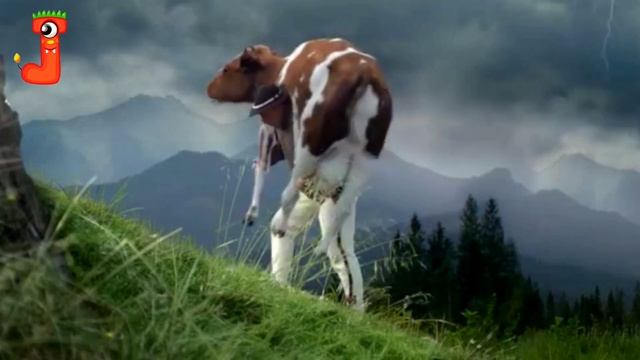 HAPPY COW DANCE 4│Satisfiying Cows | Cow Song & Cow Videos 2024 | Cow Dance Mix | Funny Dance Cow