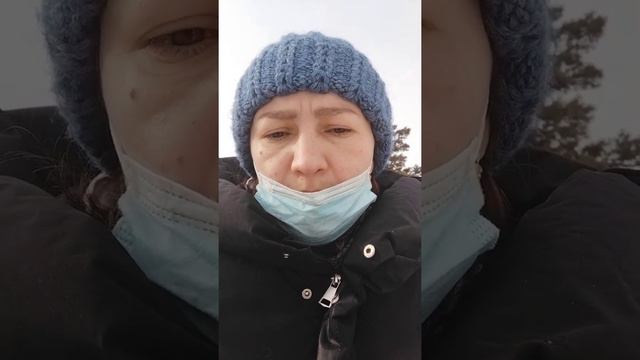 Рассуждения о том что происходит и кто виноват. Бездомные собаки