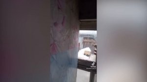 ТИК_ТОК_ПРИКОЛЫ___ЛУЧШИЕ_СМЕШНЫЕ_ВИДЕО_TIK_TOK__361.mp4