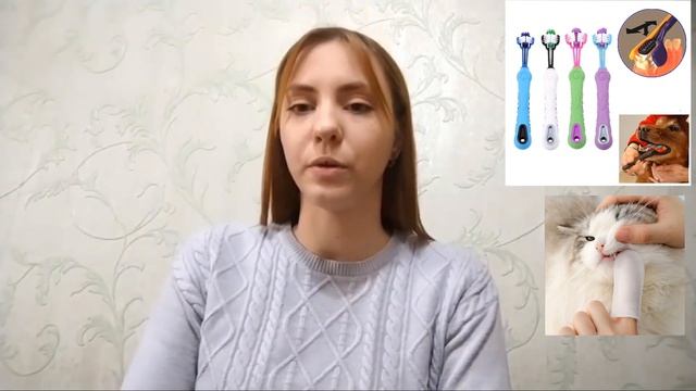 Уход за зубами ваших питомцев смотреть онлайн