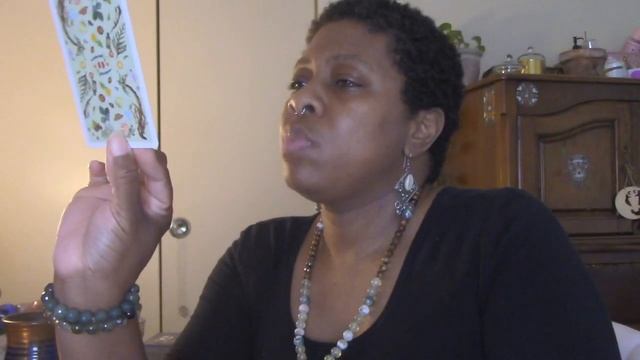 Self Care w/ Plant Allies: Surrender and open to radiance #oracle reading #spiritualguidance смотреть онлайн