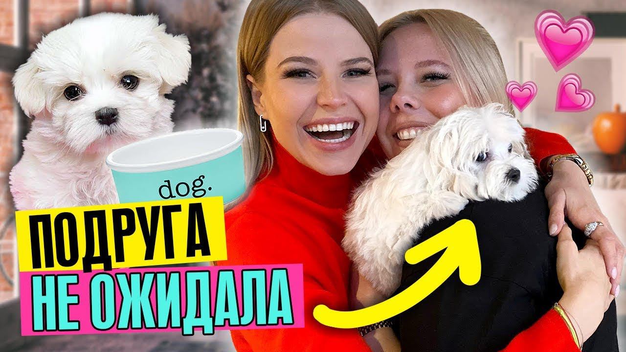 ПОДАРИЛА ЩЕНКА ПОДРУГЕ за 120 ТЫС ! смотреть онлайн