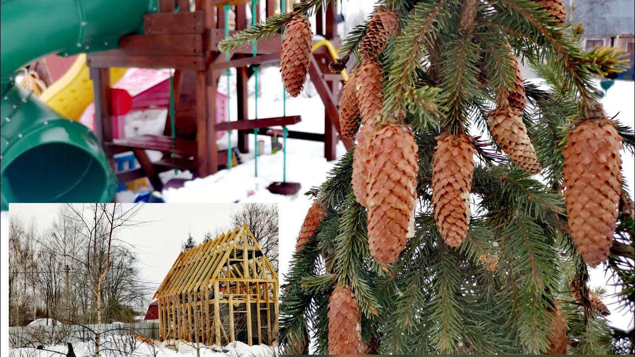 24 февраля 2024! На низком старте, ещё чуть чуть!☀️Строится сарай и в семье пополненье смотреть онлайн