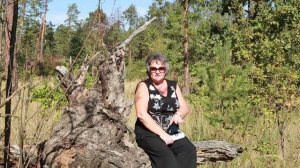 Как избавиться от кошачьих меток