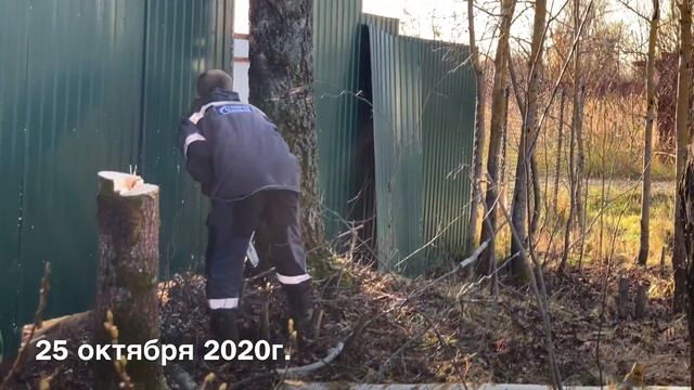 Участок с 0 | Как мы РАСЧИСТИЛИ участок, СПИЛИЛИ деревья и ПОКОСИЛИ высокую траву смотреть онлайн