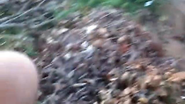 Я на даче зажигаю костер смотреть онлайн