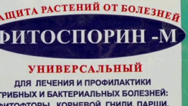 Готовим быстрый компост в мешках осенью и весной,а главное,бесплатный и очень вкусный для растений смотреть онлайн
