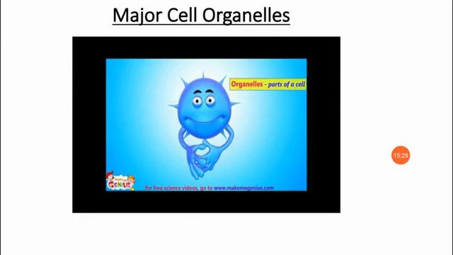 Biology 103 || Porismita Nath смотреть онлайн