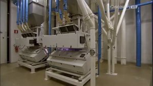 Как это сделано? (Из чего это сделано?) – Макароны ?