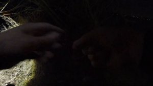 ВЕСЕННИЙ НАЛИМ.  Ловля Налима весной. Рыбалка на Оби.