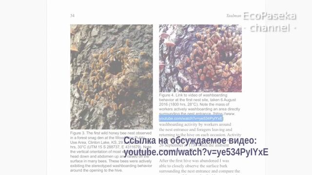 Чего не сделаешь для пчел!... (Часть 2: Сделай научное открытие!) смотреть онлайн