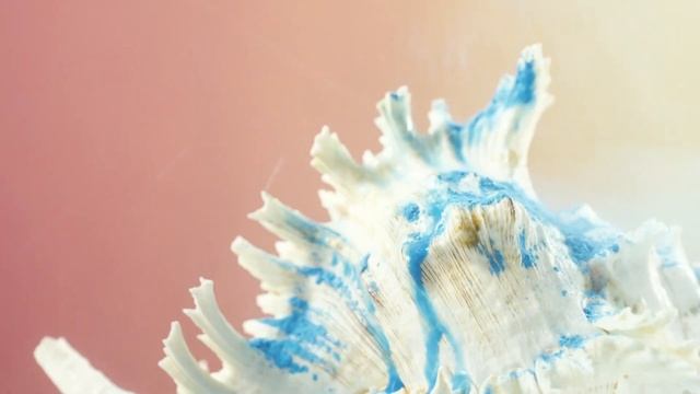 Портативный ирригатор Bitvae С2 Water Flosser (6 насадок) (С2) GLOBAL смотреть онлайн