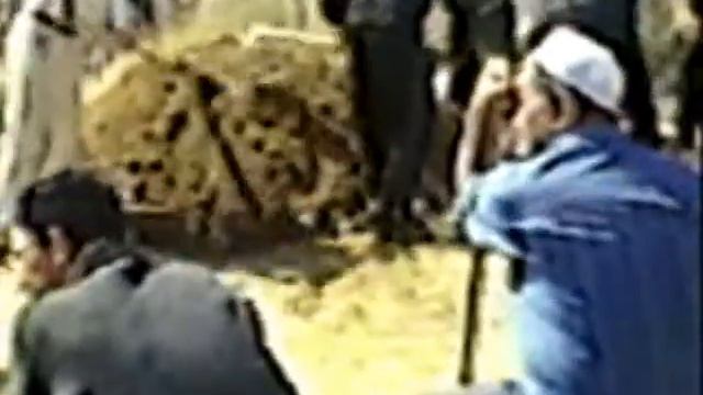 Памяти Масеева Руслана. смотреть онлайн